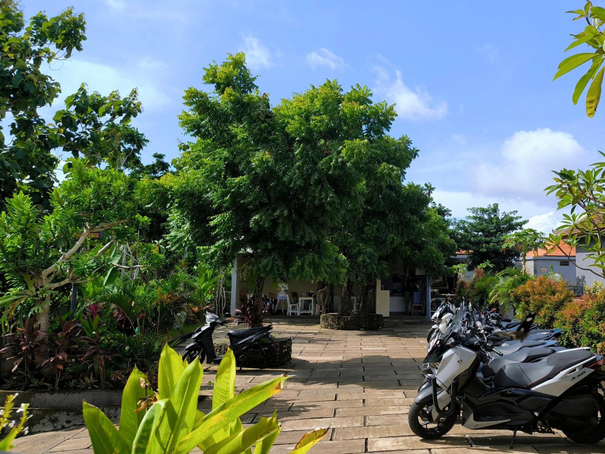 Séjour chez l'habitant Surya Pandawa Ungasan